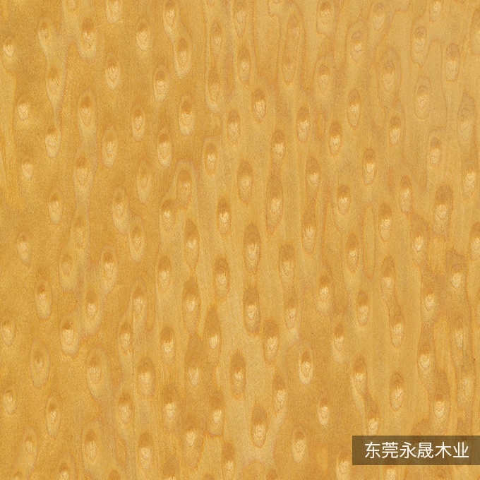 金猫眼-K8078
