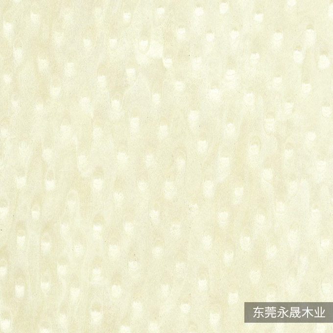 白猫眼-K-8070