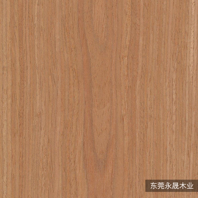 红玫瑰-K1311