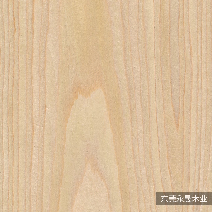 枫木--K-1474