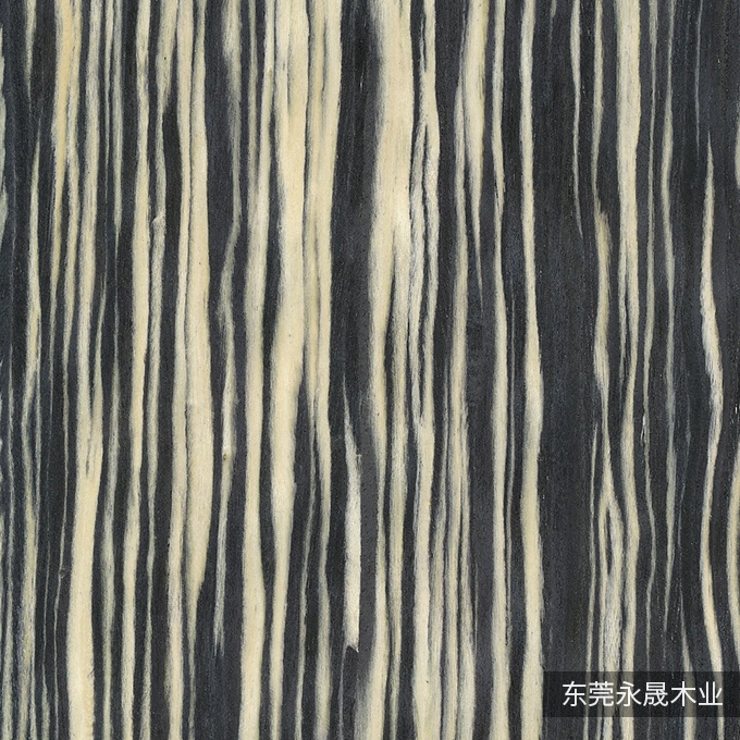 挪威森林-K5228