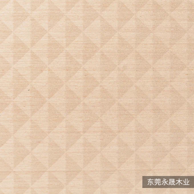 YS-04