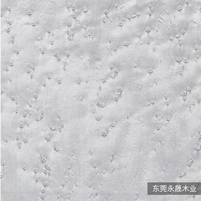 水染雀眼-6129