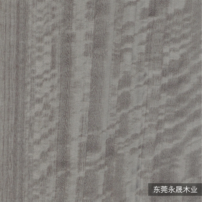 水染尤加利6114
