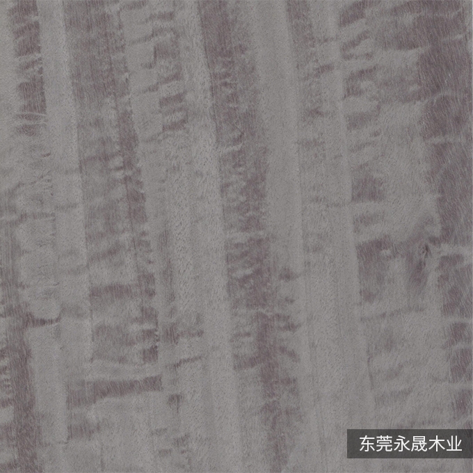 水染尤加利6112