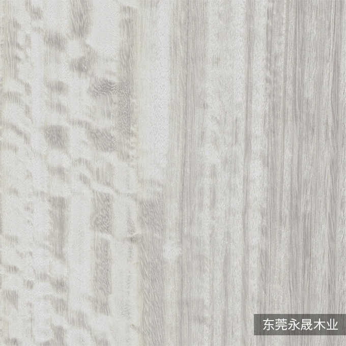 水染尤加利-6113