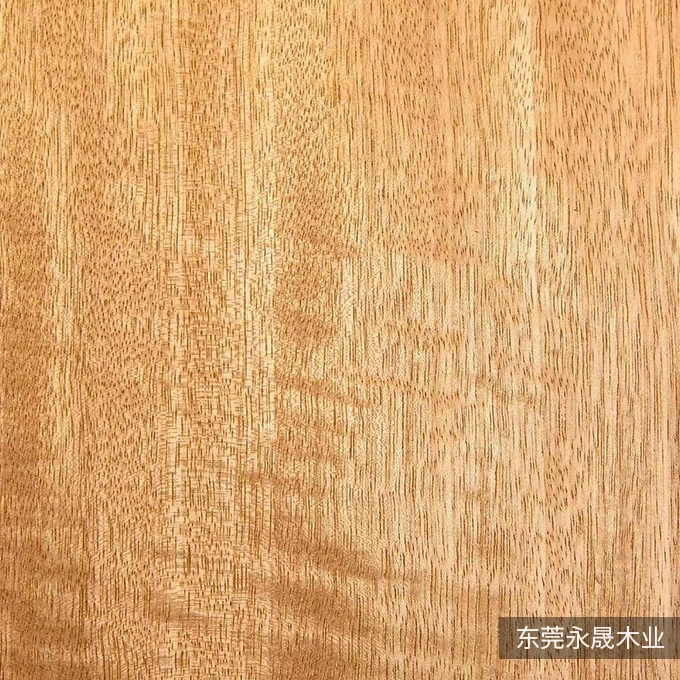 金影