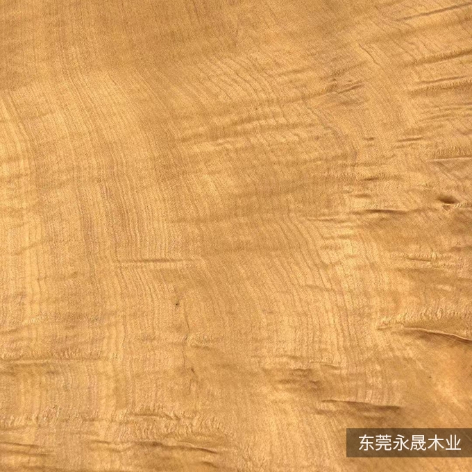 金丝楠