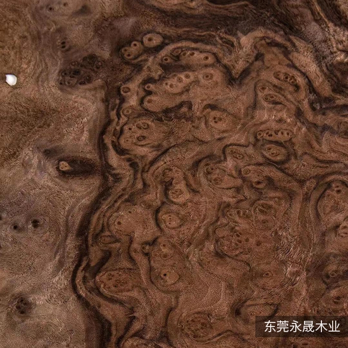 黑胡桃树榴