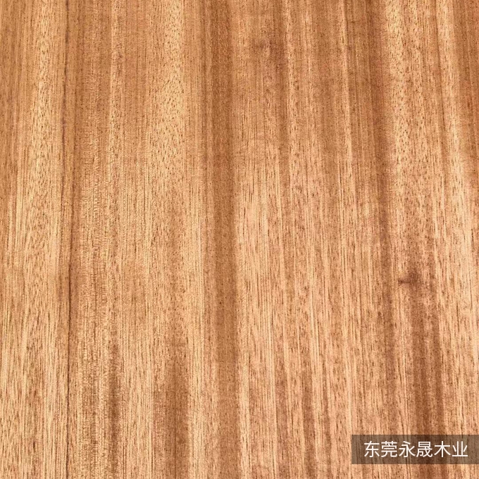黄玫瑰