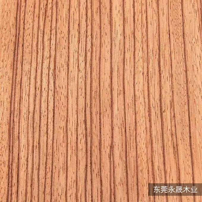 红玫瑰