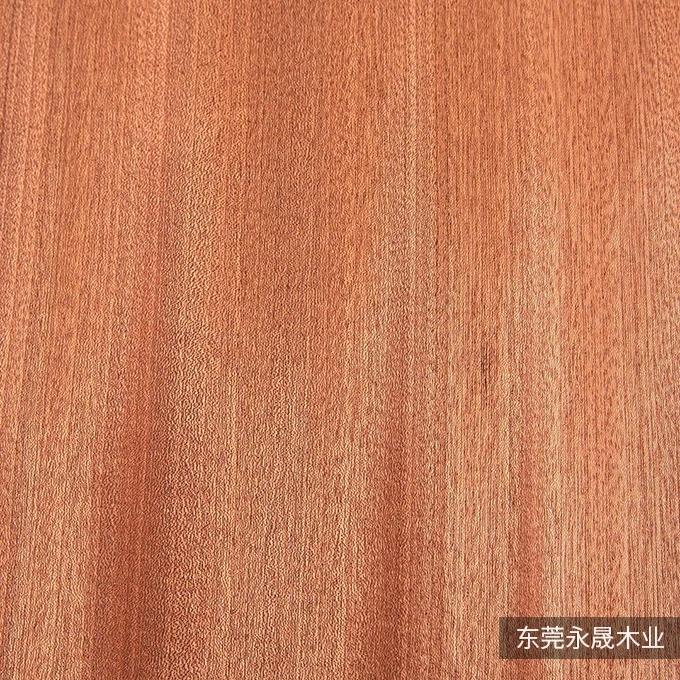 沙比利直纹