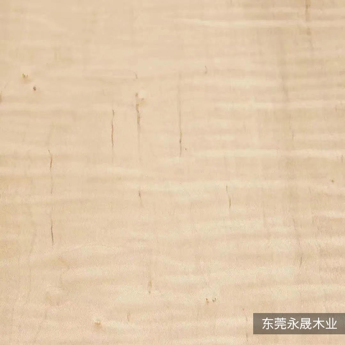 枫木影
