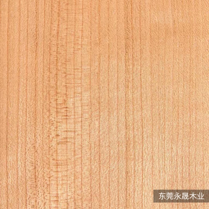 樱桃直纹