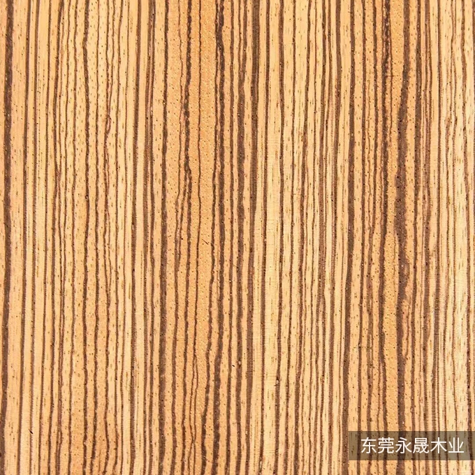 斑马直纹