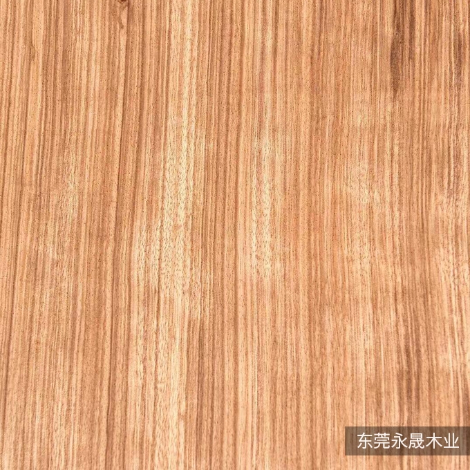 小斑马直纹