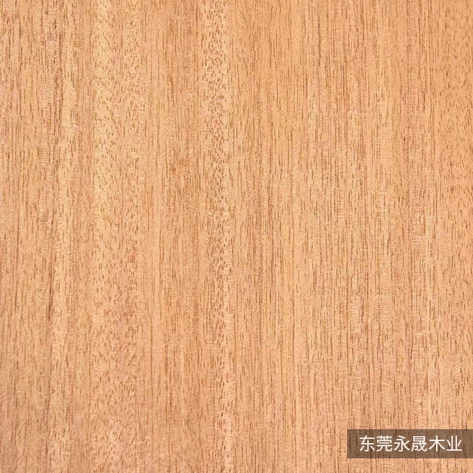 安利格
