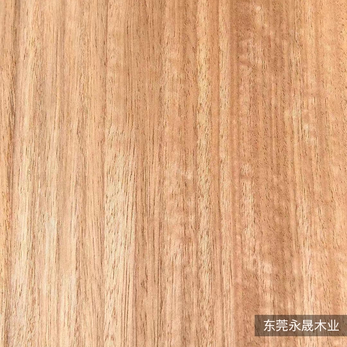 尤加利