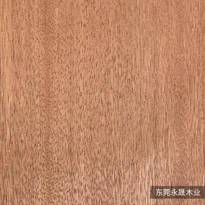 卡斯拉