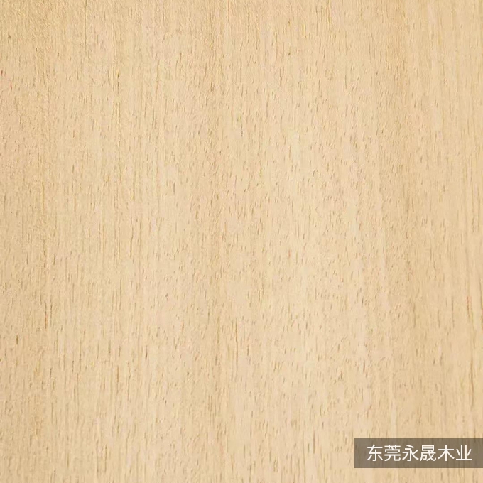 KOTO